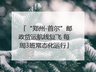 “郑州-首尔”邮政货运航线复飞 每周3班常态化运行
