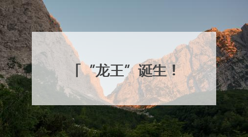 “龙王”诞生！南海西樵“半山扒龙船”热闹开锣