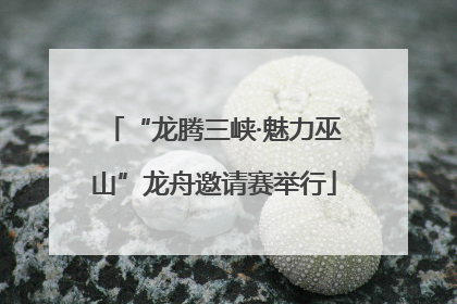 “龙腾三峡·魅力巫山”龙舟邀请赛举行