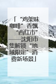 “鸡架味咖啡”香飘“西红市”——沈阳市集解锁“地域限定”消费新场景