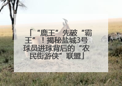 “鹿王”先破“霸王”！揭秘盐城3号球员进球背后的“农民街游侠”联盟