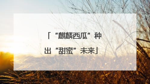 “麒麟西瓜”种出“甜蜜”未来