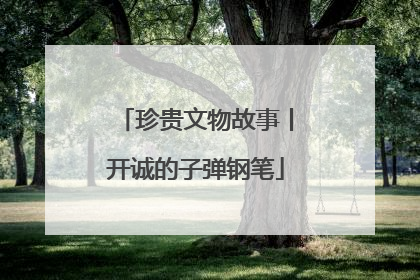 珍贵文物故事丨开诚的子弹钢笔