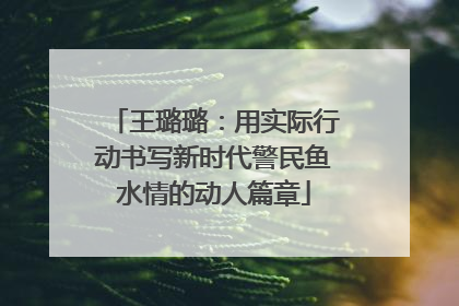 王璐璐：用实际行动书写新时代警民鱼水情的动人篇章