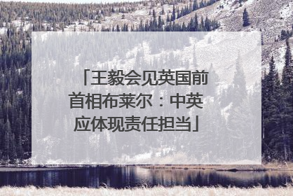 王毅会见英国前首相布莱尔：中英应体现责任担当