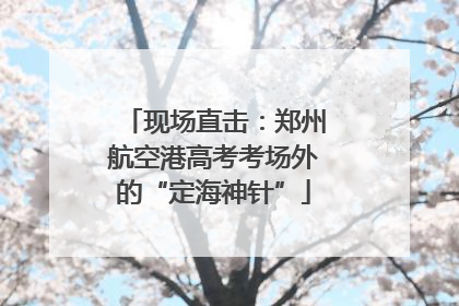 现场直击：郑州航空港高考考场外的“定海神针”