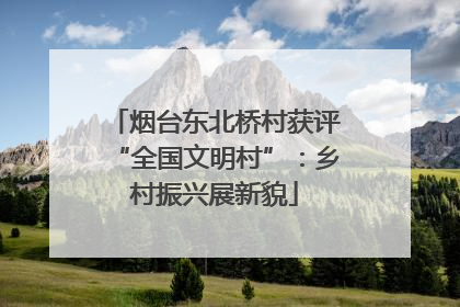 烟台东北桥村获评“全国文明村”：乡村振兴展新貌