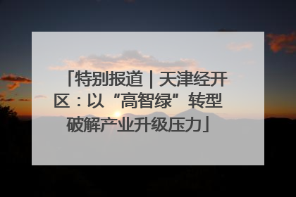 特别报道｜天津经开区：以“高智绿”转型破解产业升级压力