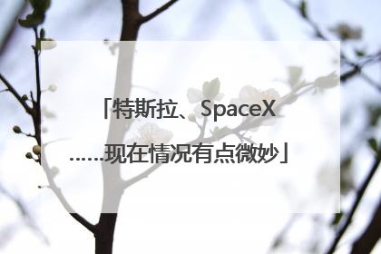 特斯拉、SpaceX……现在情况有点微妙
