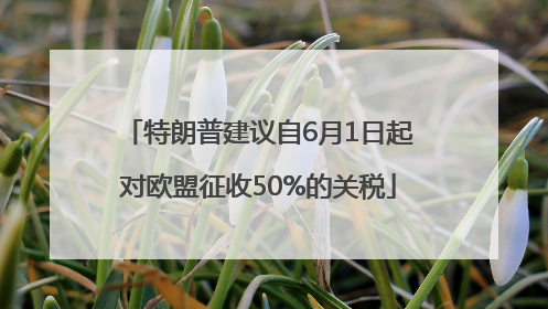 特朗普建议自6月1日起对欧盟征收50%的关税