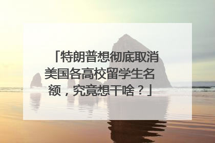 特朗普想彻底取消美国各高校留学生名额，究竟想干啥？