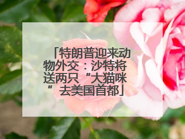 特朗普迎来动物外交：沙特将送两只“大猫咪”去美国首都