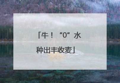 牛！“0”水种出丰收麦