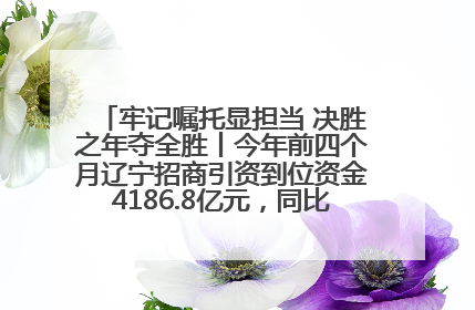牢记嘱托显担当 决胜之年夺全胜丨今年前四个月辽宁招商引资到位资金4186.8亿元，同比增长17.4%