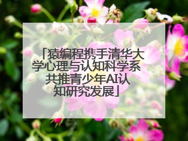 猿编程携手清华大学心理与认知科学系 共推青少年AI认知研究发展