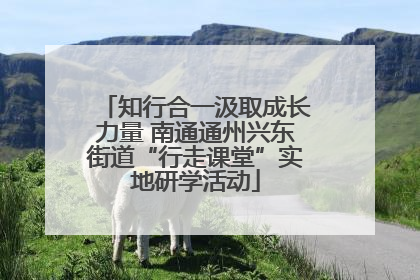 知行合一汲取成长力量 南通通州兴东街道“行走课堂”实地研学活动