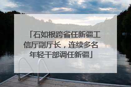 石如根跨省任新疆工信厅副厅长，连续多名年轻干部调任新疆
