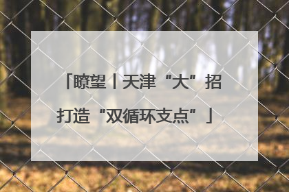 瞭望丨天津“大”招打造“双循环支点”
