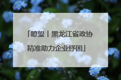 瞭望丨黑龙江省政协精准助力企业纾困