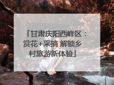 甘肃庆阳西峰区：赏花+采摘 解锁乡村旅游新体验