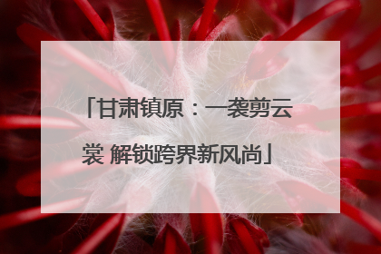 甘肃镇原：一袭剪云裳 解锁跨界新风尚