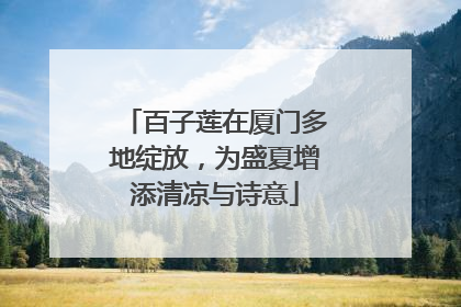 百子莲在厦门多地绽放，为盛夏增添清凉与诗意