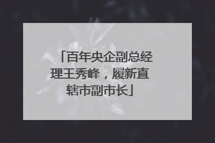 百年央企副总经理王秀峰，履新直辖市副市长
