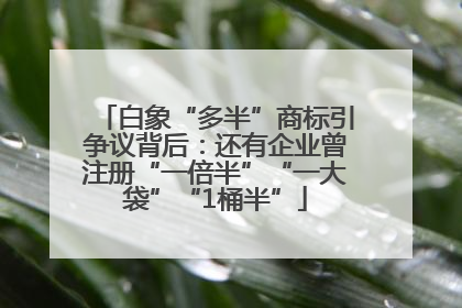 白象“多半”商标引争议背后：还有企业曾注册“一倍半”“一大袋”“1桶半”