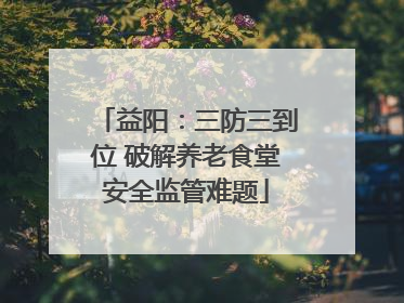 益阳：三防三到位 破解养老食堂安全监管难题