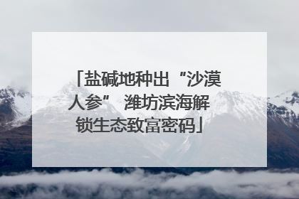 盐碱地种出“沙漠人参” 潍坊滨海解锁生态致富密码
