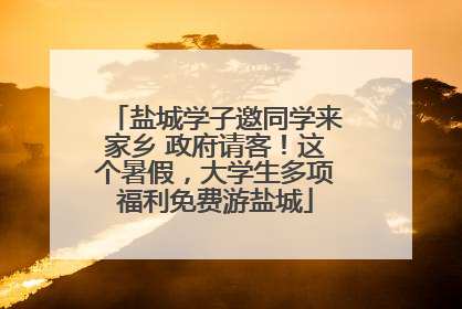 盐城学子邀同学来家乡 政府请客！这个暑假，大学生多项福利免费游盐城