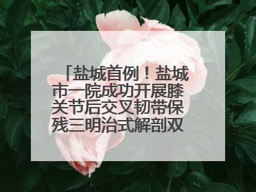 盐城首例！盐城市一院成功开展膝关节后交叉韧带保残三明治式解剖双束重建术