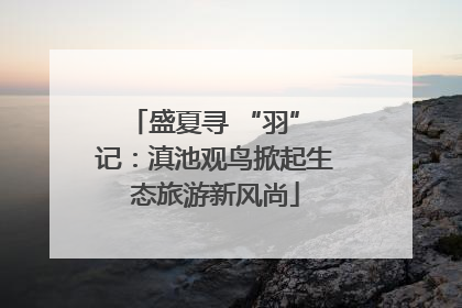 盛夏寻 “羽” 记：滇池观鸟掀起生态旅游新风尚