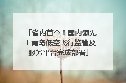 省内首个！国内领先！青岛低空飞行监管及服务平台完成部署