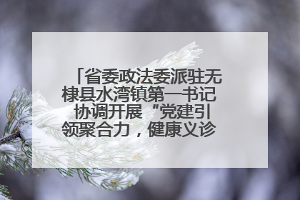省委政法委派驻无棣县水湾镇第一书记 协调开展“党建引领聚合力，健康义诊惠乡亲”义诊活动