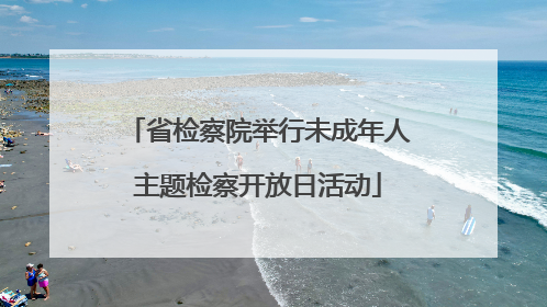 省检察院举行未成年人主题检察开放日活动