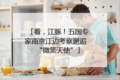 看，江豚！五国专家南京江边考察邂逅“微笑天使”