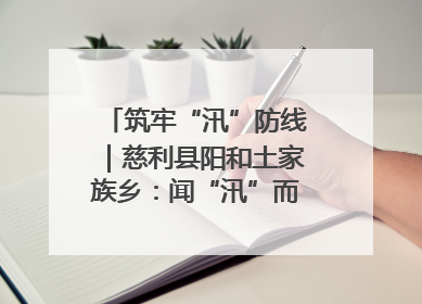 筑牢“汛”防线｜慈利县阳和土家族乡：闻“汛”而动 全员下沉筑牢防汛“安全堤”