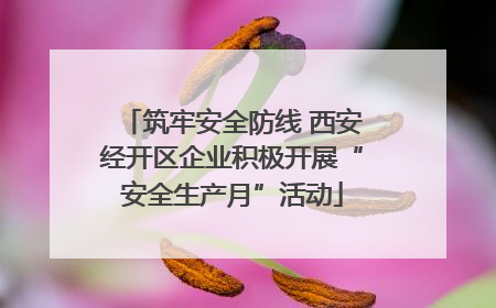 筑牢安全防线 西安经开区企业积极开展“安全生产月”活动