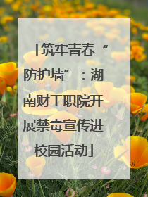 筑牢青春“防护墙”：湖南财工职院开展禁毒宣传进校园活动