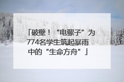 破壁！“电骡子”为774名学生筑起暴雨中的“生命方舟”