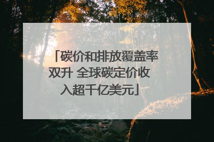 碳价和排放覆盖率双升 全球碳定价收入超千亿美元