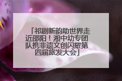 祁剧新韵助世界走近邵阳！湘中幼专团队携非遗文创闪耀第四届旅发大会