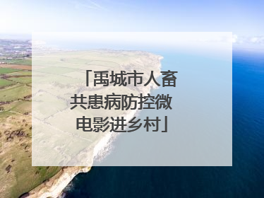 禹城市人畜共患病防控微电影进乡村