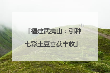福建武夷山：引种七彩土豆喜获丰收