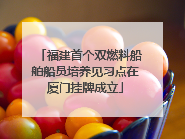 福建首个双燃料船舶船员培养见习点在厦门挂牌成立