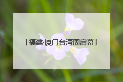 福建·厦门台湾周启幕