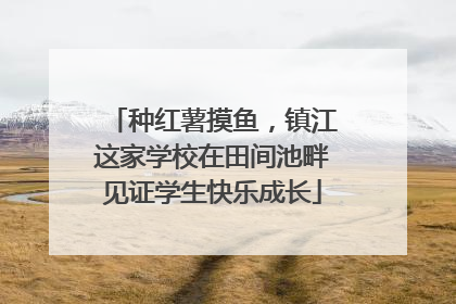 种红薯摸鱼，镇江这家学校在田间池畔见证学生快乐成长