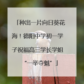种出一片向日葵花海！德阳中学初一学子祝福高三学长学姐“一举夺魁”
