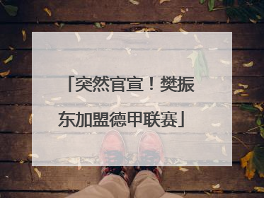 突然官宣！樊振东加盟德甲联赛